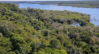 Desmatamento na Amazônia cai 30,6% em um ano